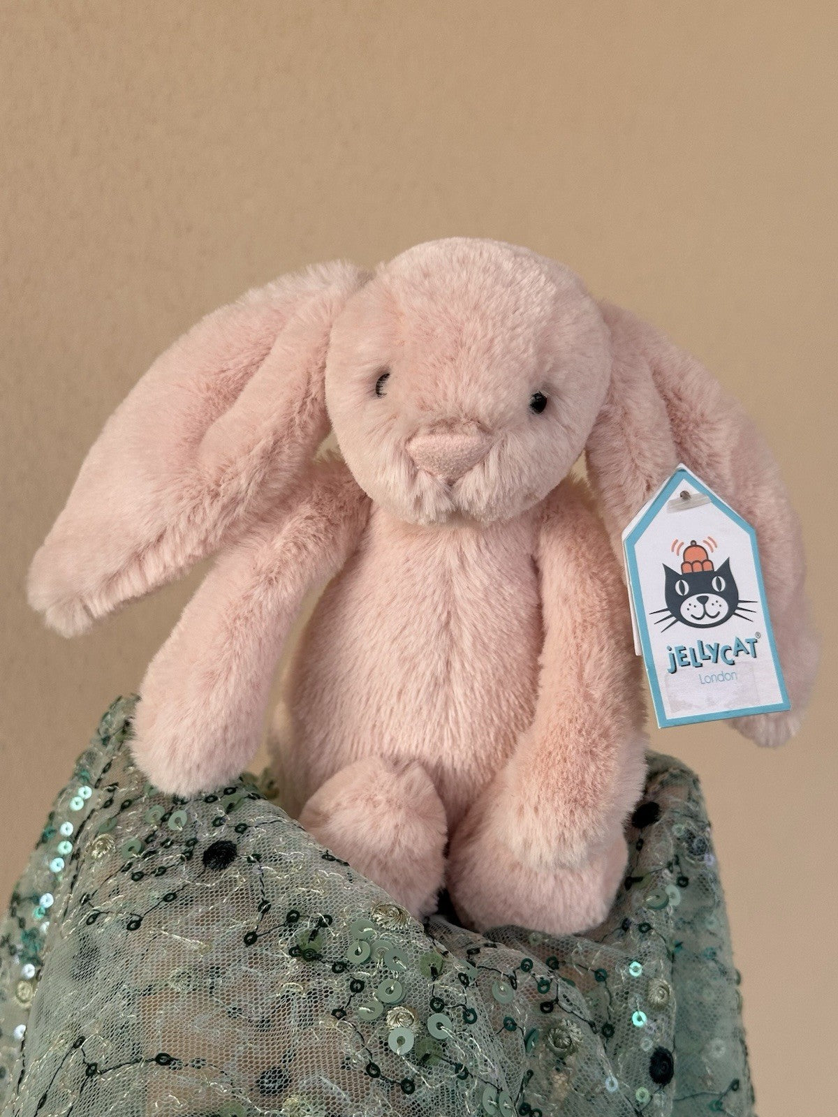 NUOVO Jellycat Small Bashful Blush Bunny Nuovo con etichette Ritirato Raro Coniglio Rosa Giocattolo Morbido-