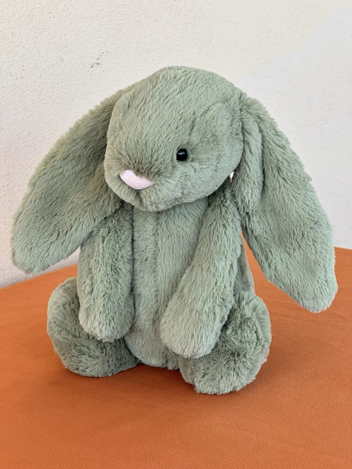 Peluche Jellycat Medium Bashful Felce Bunny nuovo senza etichette verde raro coniglio giocattolo morbido