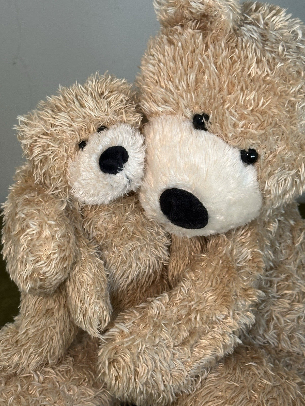 Jellycat Bunglie Honey Bears coppia orsacchiotto beige ritirato raro medio e tot-