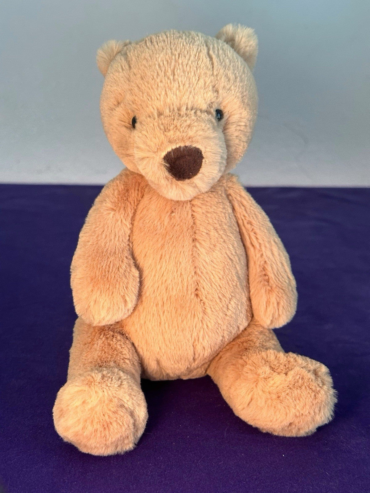 Peluche Jellycat piccolo orsacchiotto nuovo senza etichette ritirato raro orsacchiotto giocattolo morbido beige 8"-