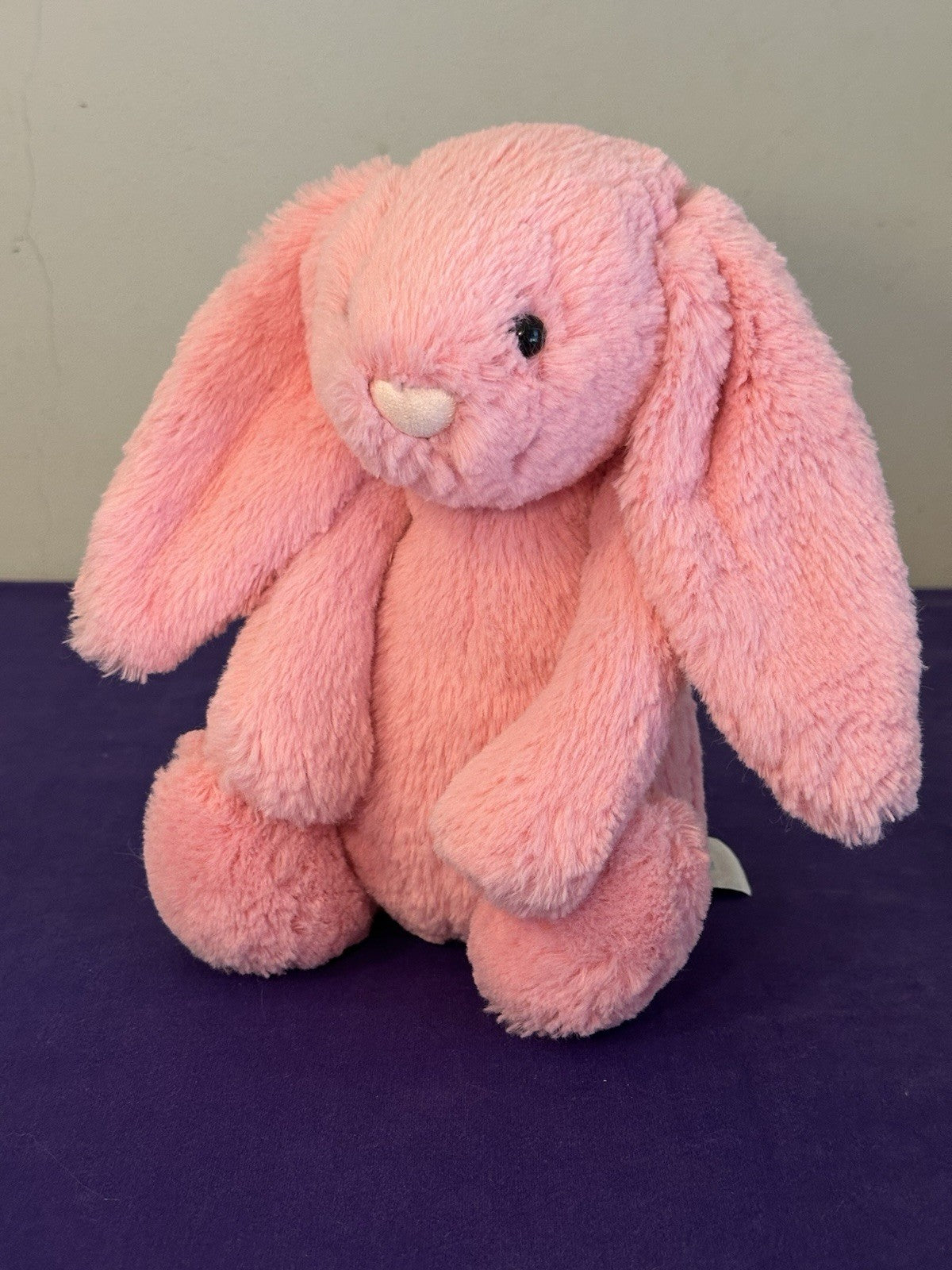 Jellycat Medium Bashful Sorbetto Coniglietto Candy Coniglio Rosa 12” Ritirato Raro Giocattolo Morbido-