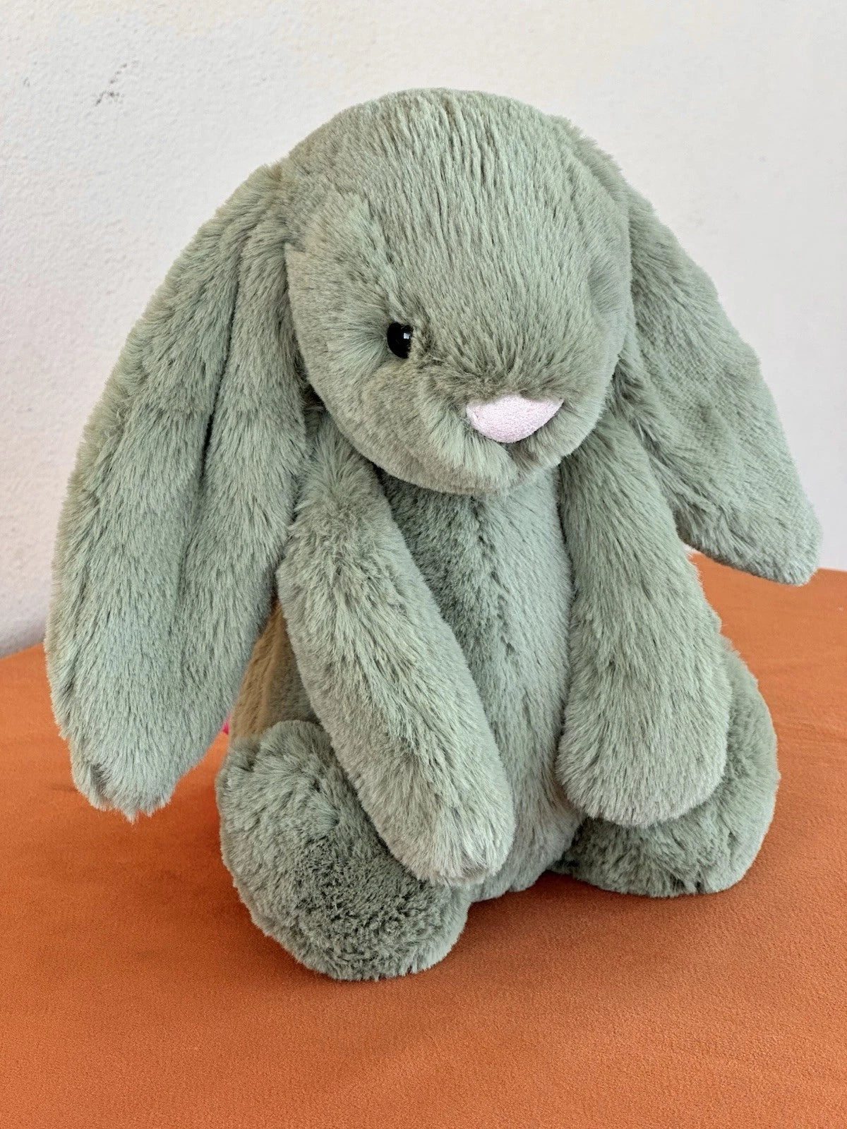 Peluche Jellycat Medium Bashful Felce Bunny nuovo senza etichette verde raro coniglio giocattolo morbido