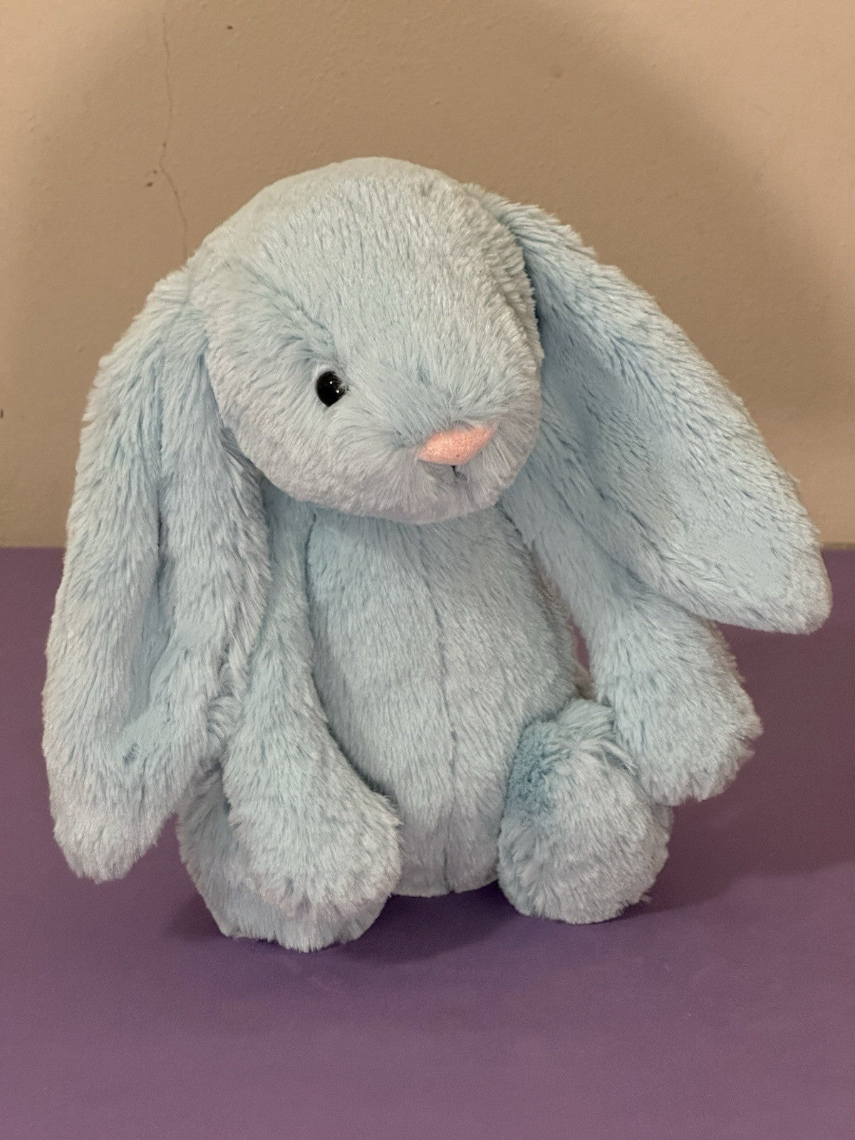 Jellycat Medium Bashful Aqua Bunny Pensionato Raro Giocattolo Morbido Coniglio Peluche-