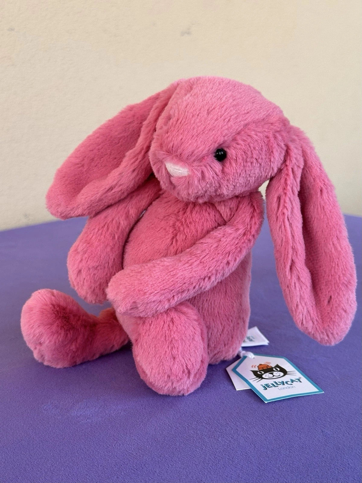 Jellycat Small Bashful Cerise Bunny BNWT 8” Retired Pink Rabbit Soft Plush