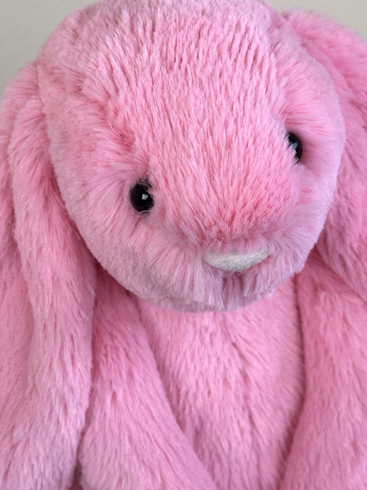Jellycat Medium Bashful Sorbet Bunny BNWOT Rare Retired Candy Pink Rabbit Plush