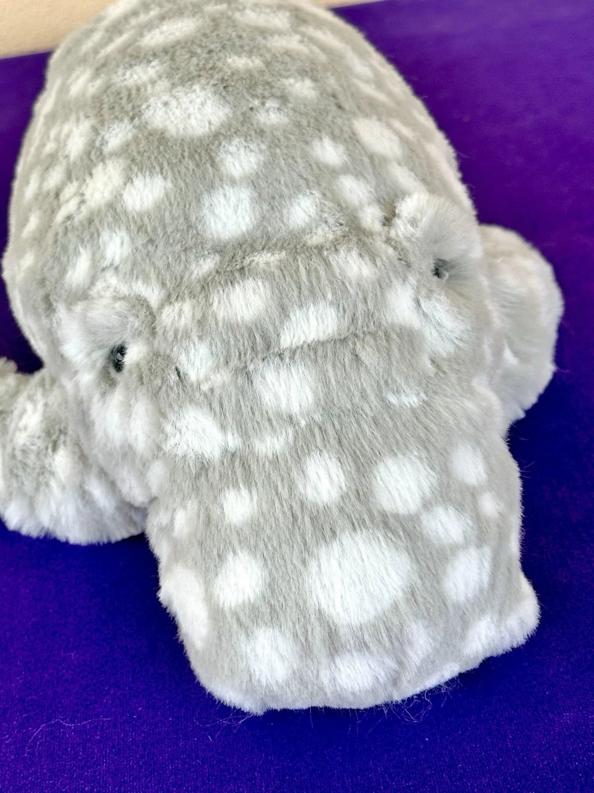 Peluche raro Jellycat Little Billow lamantino extra morbido mammifero marino cm40 calamari