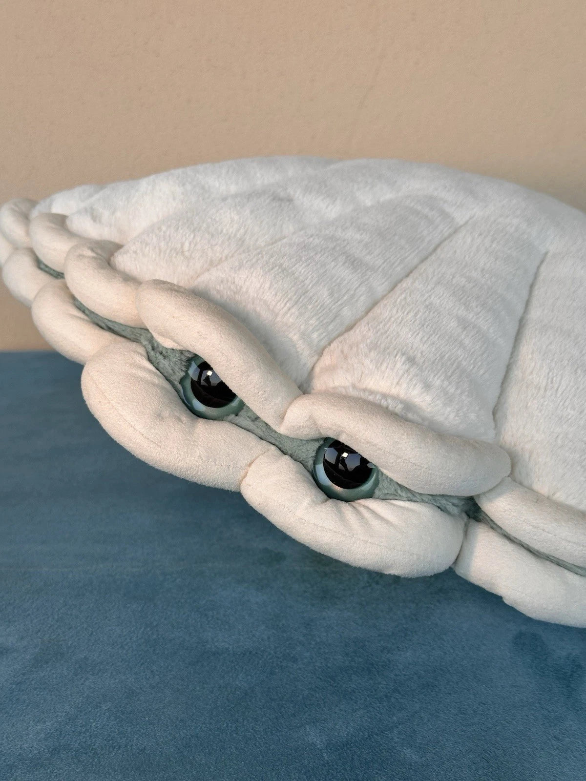 Peluche Jellycat Large Chloe Clam Ritirato Ultra Raro Big Aqua Eyes Giocattolo Morbido cm.47