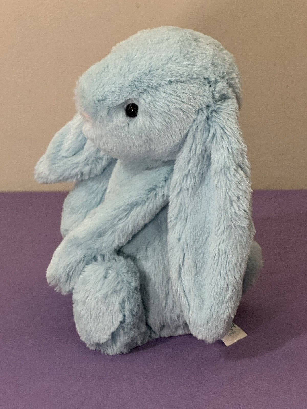 Jellycat Medium Bashful Aqua Bunny Pensionato Raro Giocattolo Morbido Coniglio Peluche-