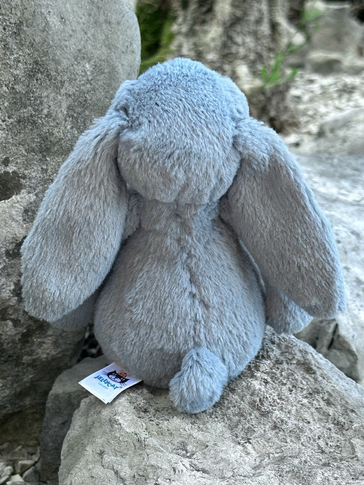 Peluche coniglietto Jellycat piccolo timido blu scuro fiori nuovo senza etichette coniglio in pensione-