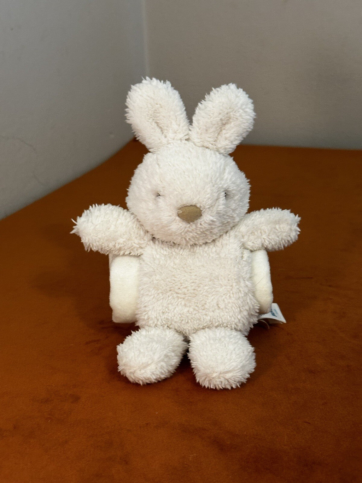 Jellycat Nugget Bunny Succhietto Nuovo senza etichette ritirato 2014 coperta peluche NGSO4BN-