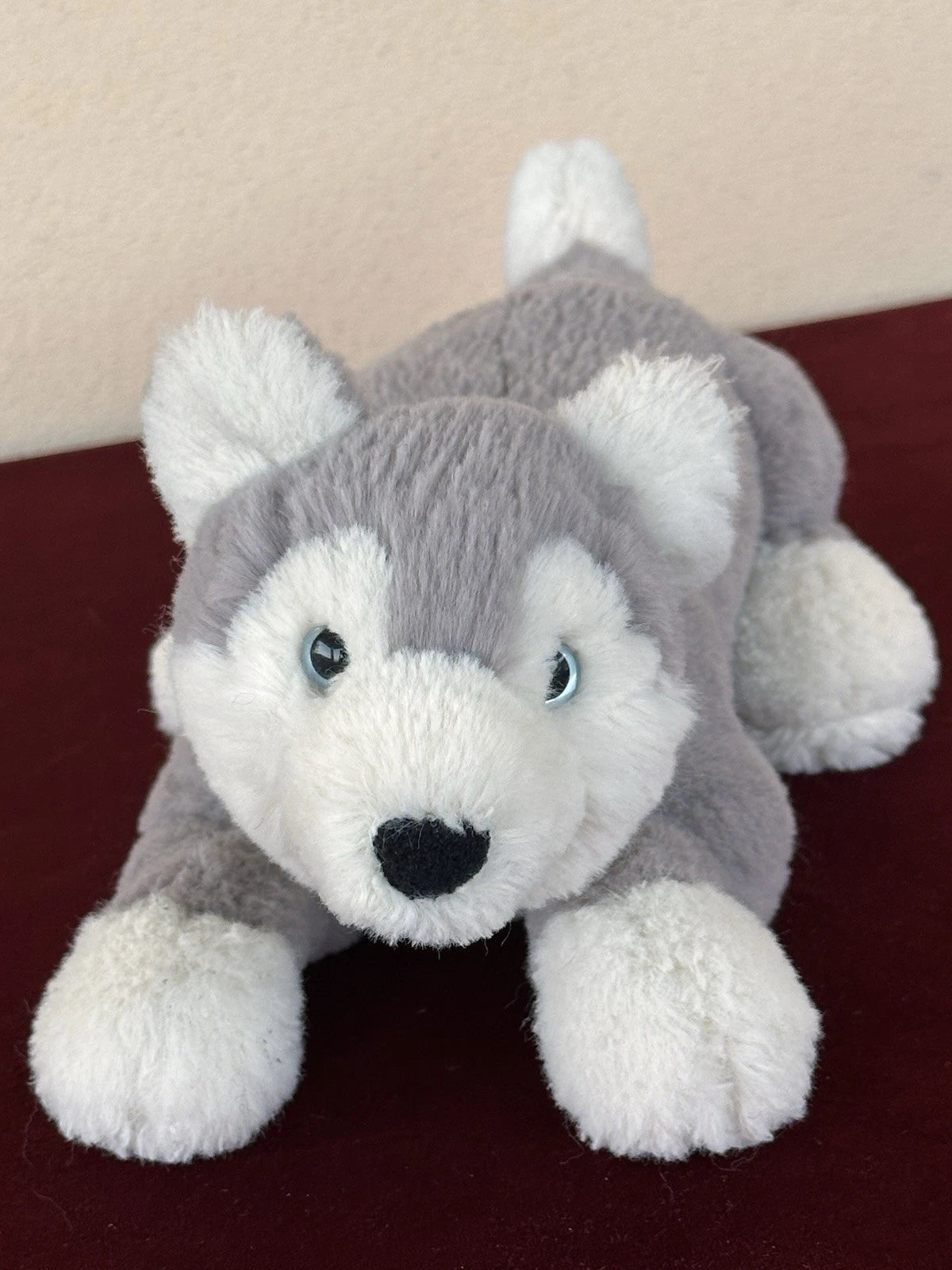Peluche Jellycat Little Hudson Husky giocattolo morbido sdraiato piccolo cucciolo cane pensionato