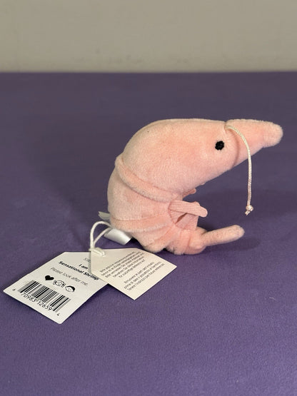 NUOVO Jellycat Sensational Gamberetto Nuovo con etichette Pesce Ocean Life Gambero Divertente Peluche Giocattolo Morbido-