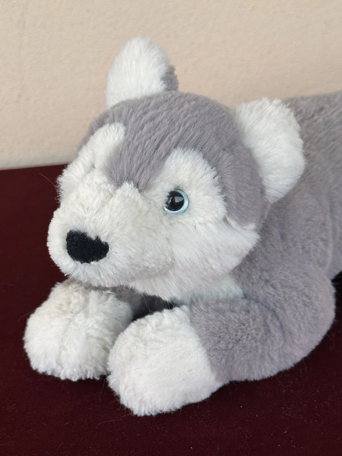 Peluche Jellycat Little Hudson Husky giocattolo morbido sdraiato piccolo cucciolo cane pensionato
