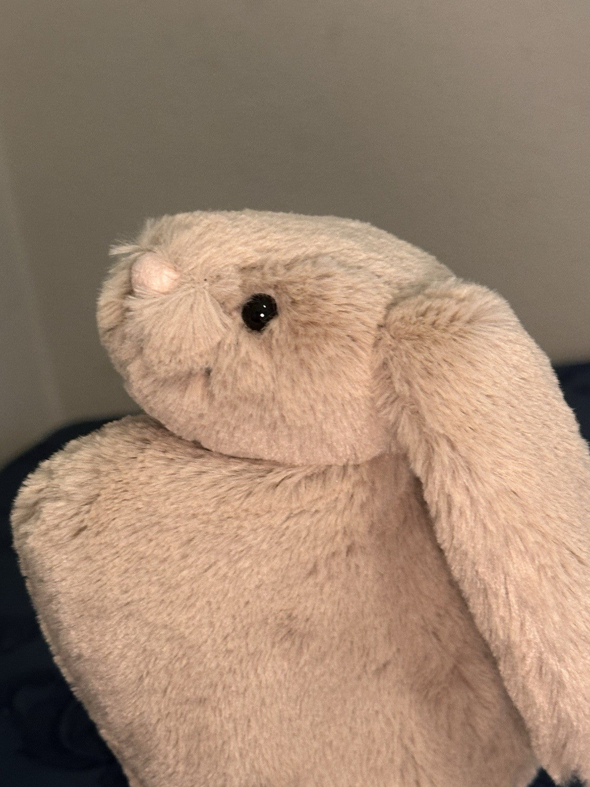 NUOVO Jellycat Bashful Beige Bunny Pouch nuovo con etichette piccolo coniglio borsa ritirato raro-
