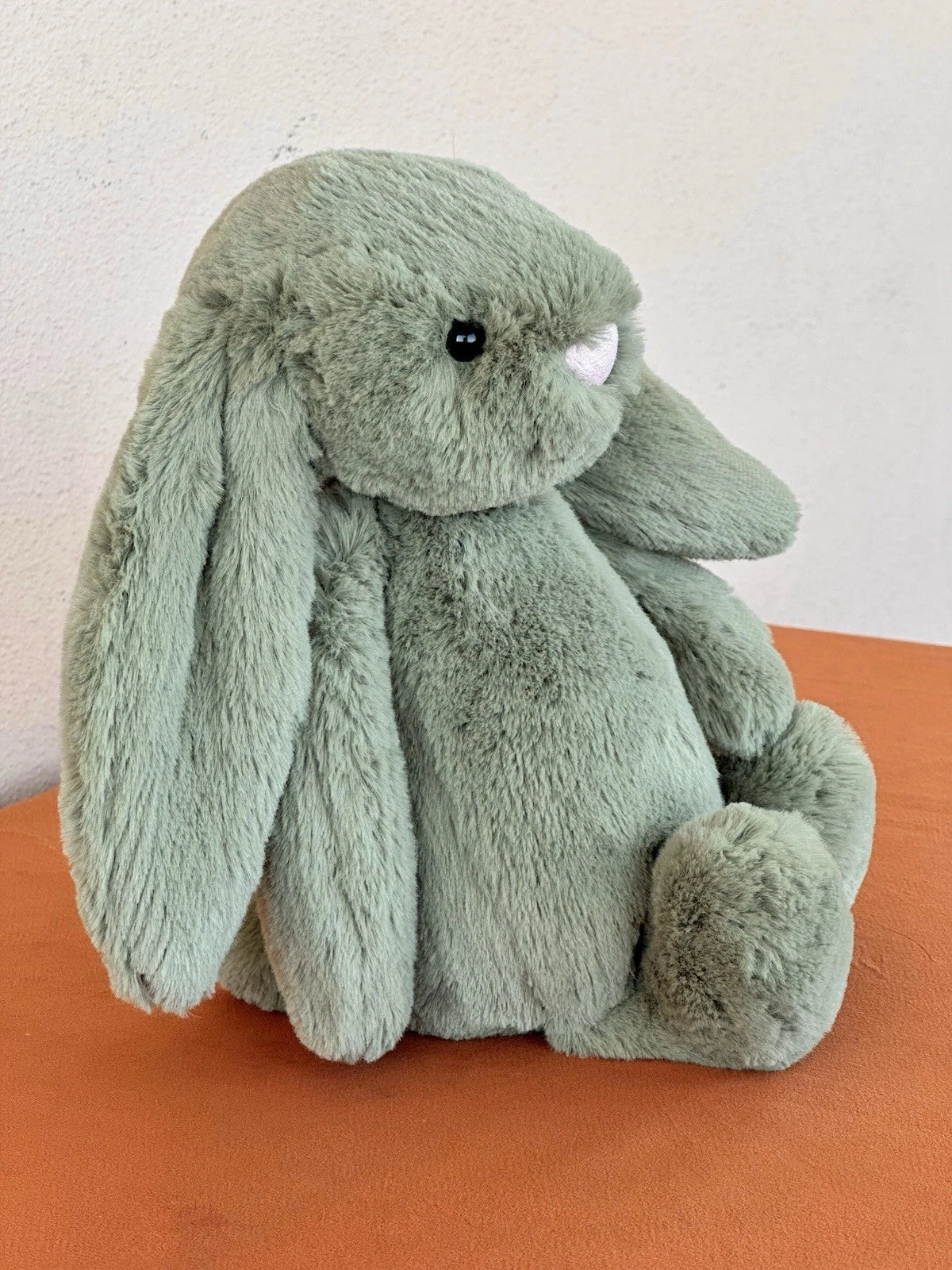 Peluche Jellycat Medium Bashful Felce Bunny nuovo senza etichette verde raro coniglio giocattolo morbido