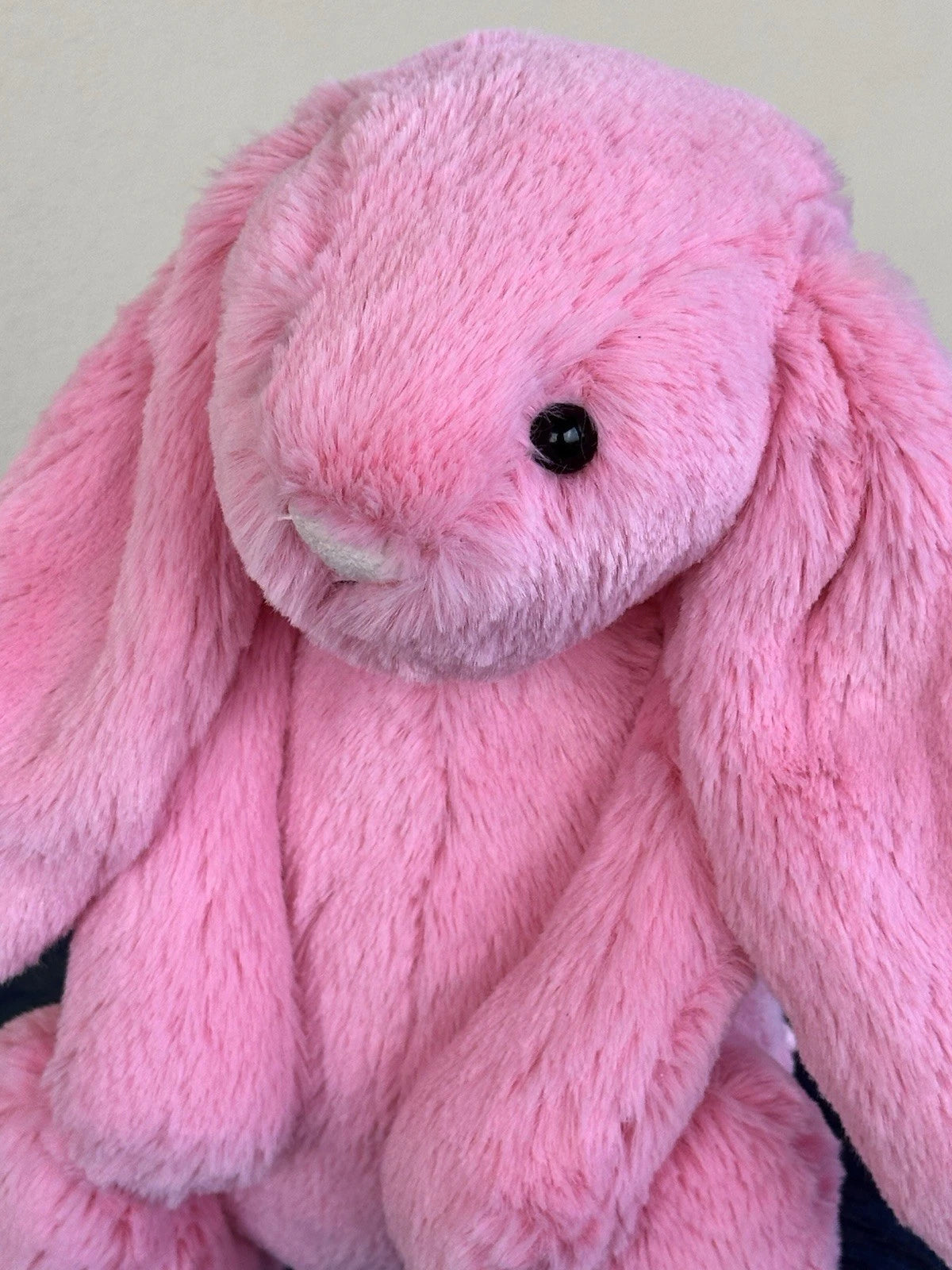 Jellycat Medium Bashful Sorbet Bunny BNWOT Rare Retired Candy Pink Rabbit Plush