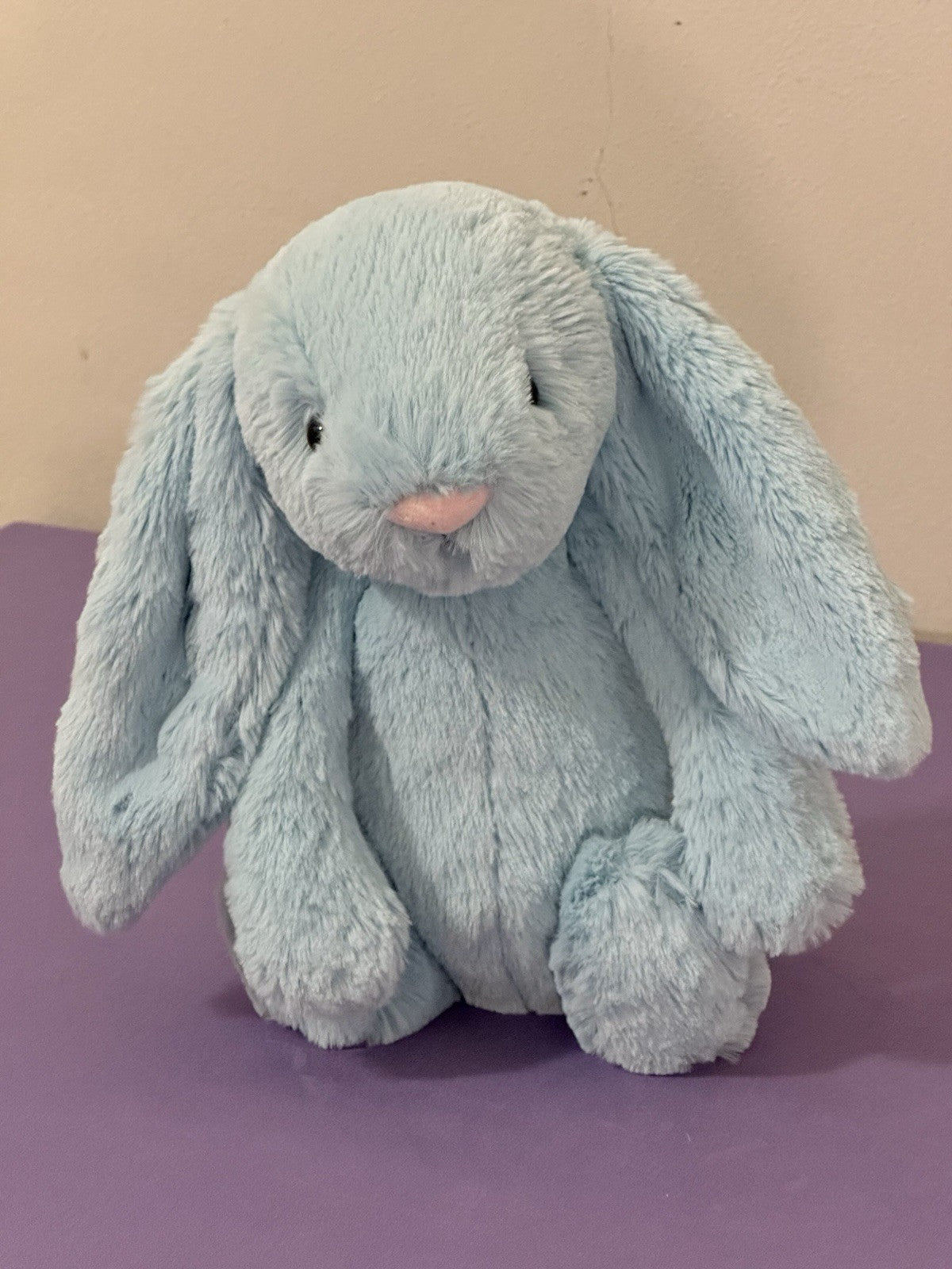 Jellycat Medium Bashful Aqua Bunny Pensionato Raro Giocattolo Morbido Coniglio Peluche-