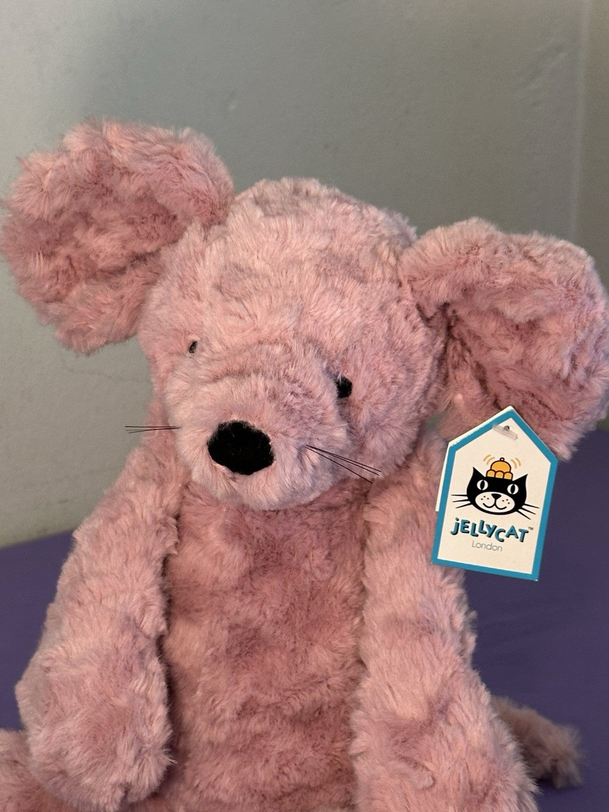 NUOVO Jellycat Charmed Marcella Mouse nuovo con etichette rosa polvere testurizzato topi morbidi ritirato-