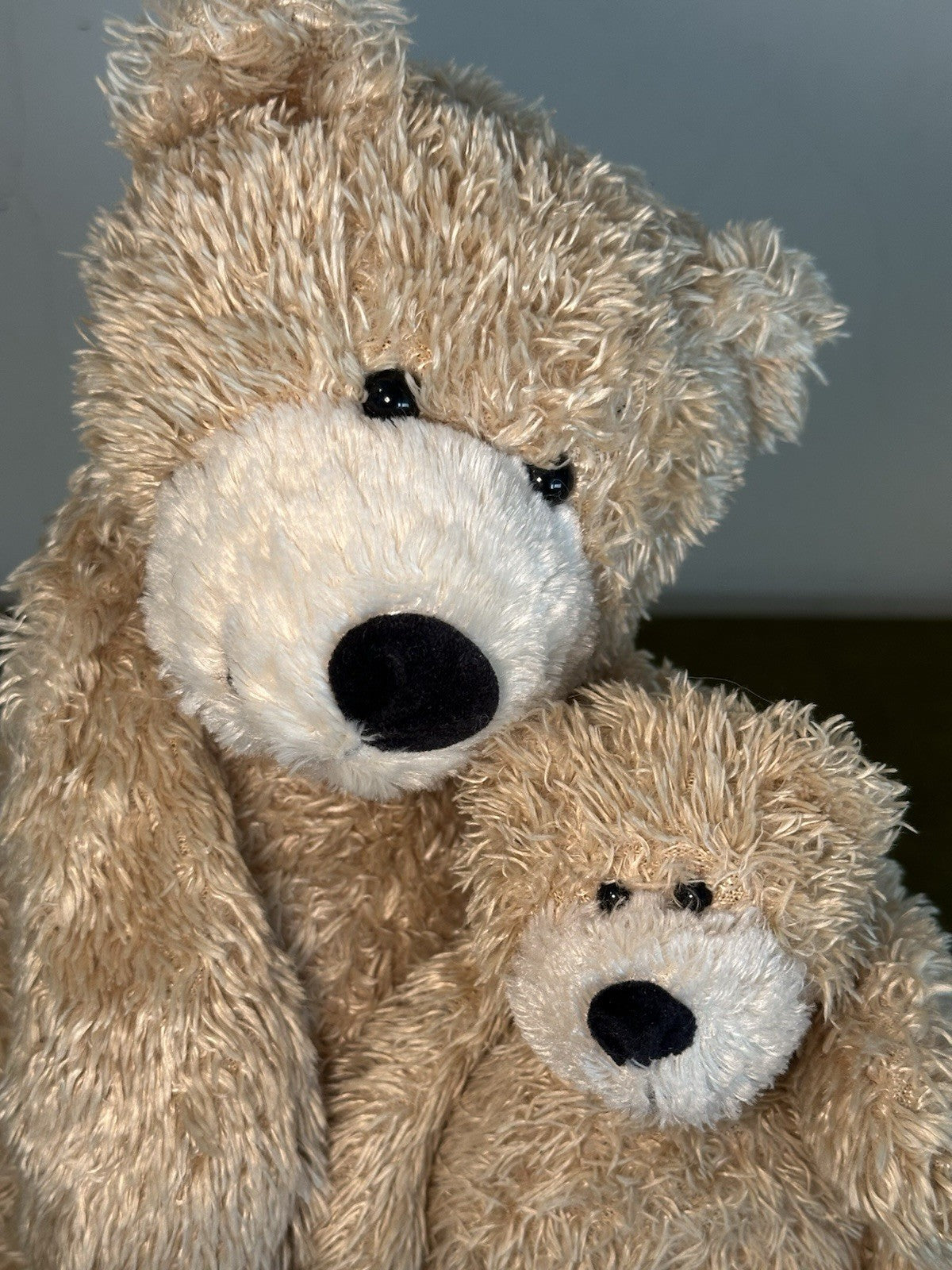 Jellycat Bunglie Honey Bears coppia orsacchiotto beige ritirato raro medio e tot-