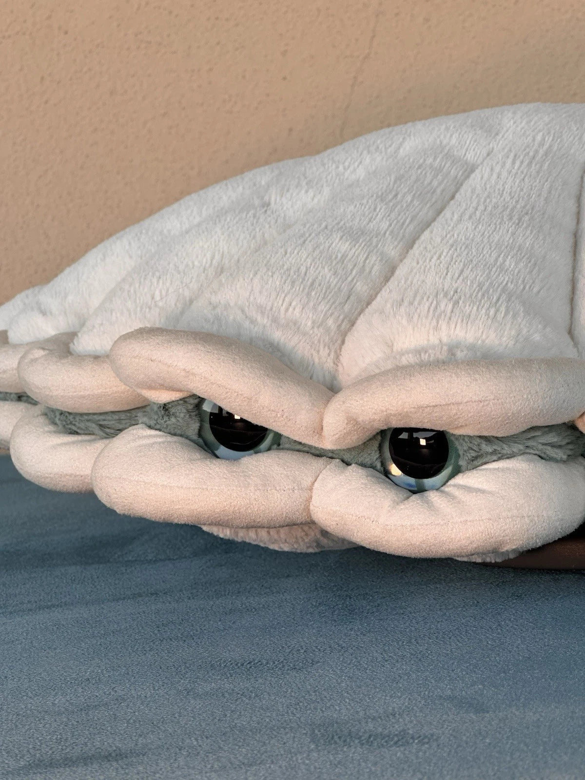 Peluche Jellycat Large Chloe Clam Ritirato Ultra Raro Big Aqua Eyes Giocattolo Morbido cm.47