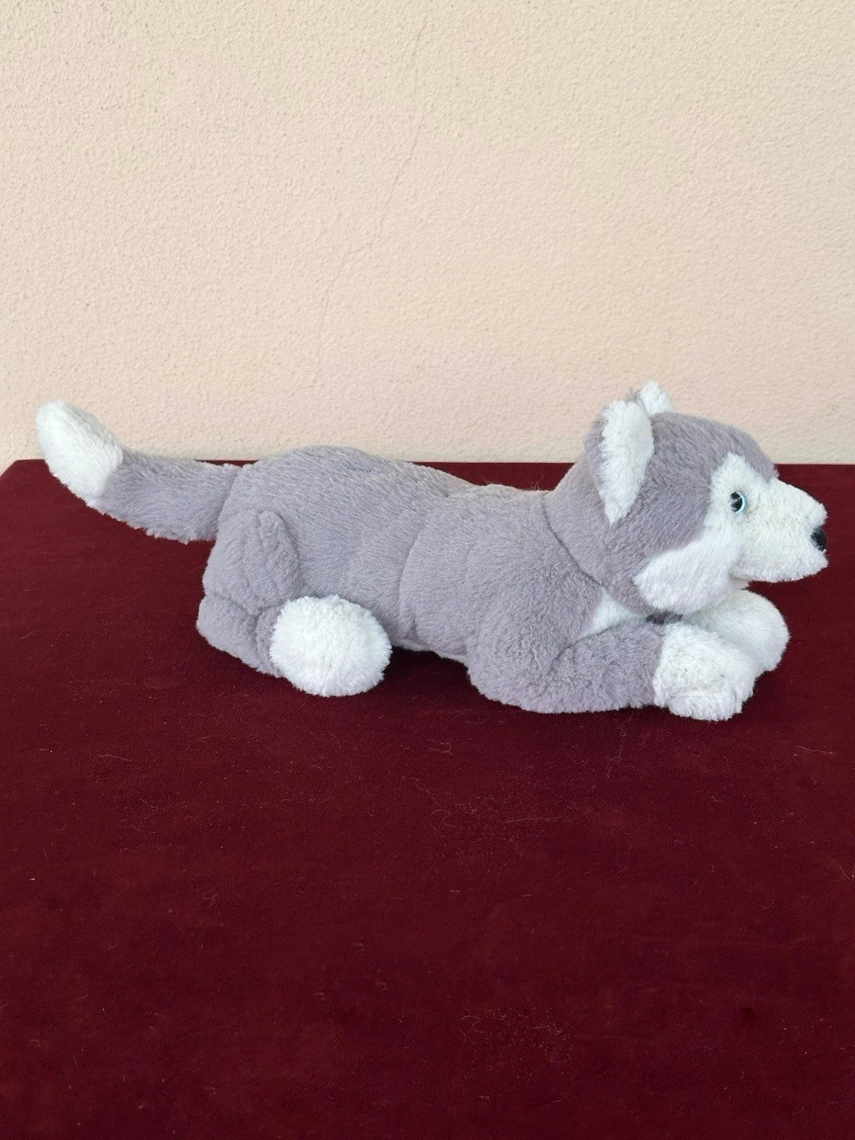 Peluche Jellycat Little Hudson Husky giocattolo morbido sdraiato piccolo cucciolo cane pensionato